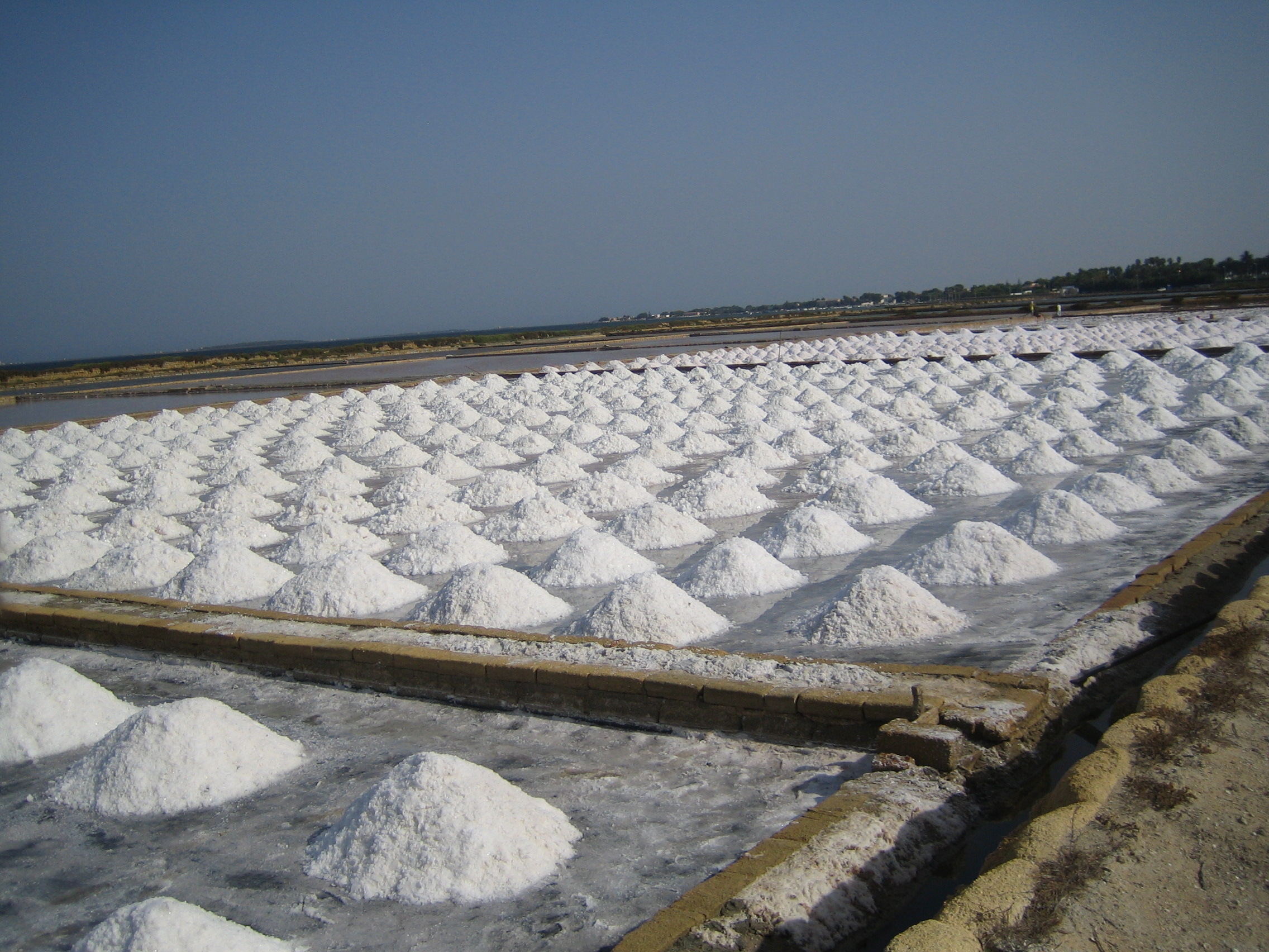 marsala-saline